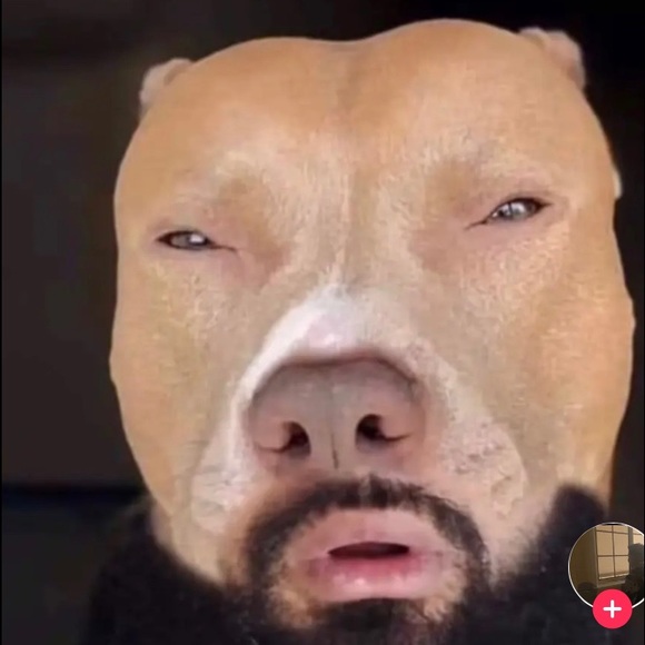 Meet your Posher, James - Picture 3 of 3